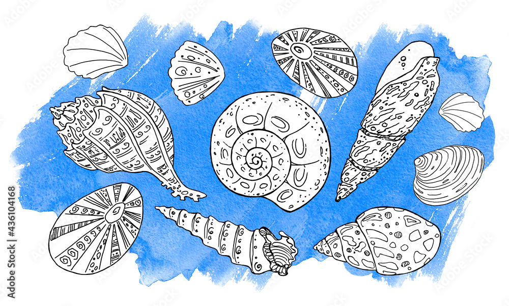 Hand drawn Sea Shells Set with Blue Watercolor Background. Line Art and ...