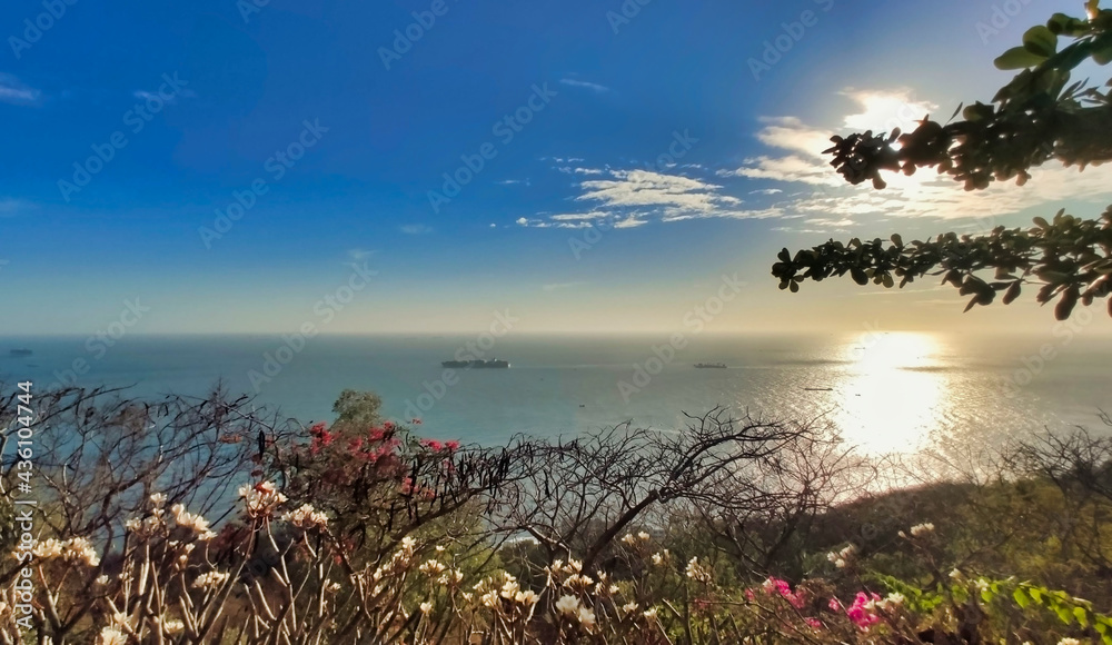 Beautiful view of the sea and coastline in Vung Tau. Ships ,Trees and Slopes. Vietnam. South-East Asia	