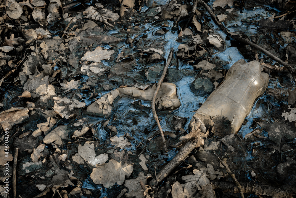 Obraz premium Pollution garbage in environment forest. Rubbish plastic waste on woodland. Empty used dirty bottles in the concept of nature conservation from pollution.