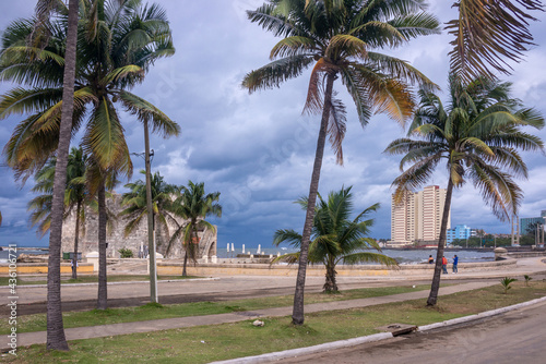 Avenida de palmeras en la Quinta Avenida frente a la costa del La Habana, Cuba photo