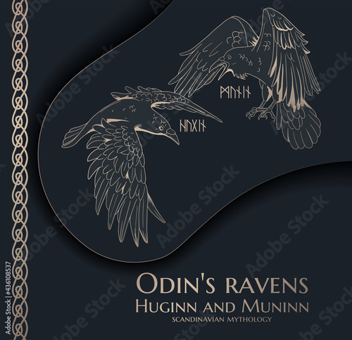 black and gold illustration with Odin's ravens