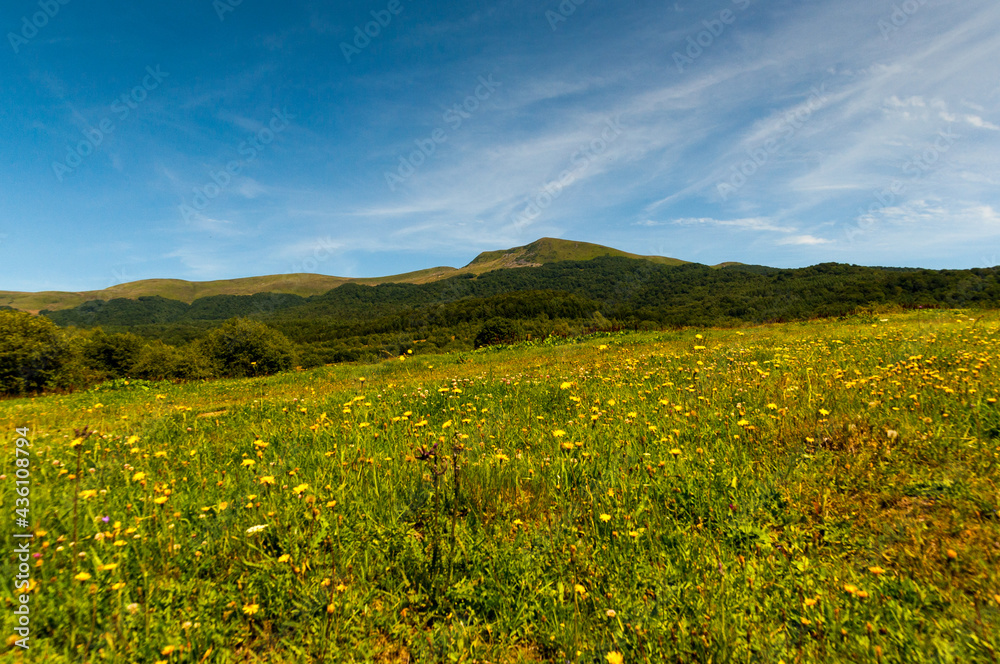 Panorama at the top of Tarnica from the trail leading to Wołosate, Bieszczady Mountains, Wołosate