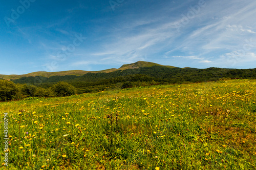 Panorama at the top of Tarnica from the trail leading to Wo  osate  Bieszczady Mountains  Wo  osate