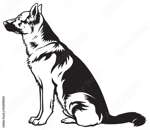 German shepherd sitting dog 2, dog breed vector illustration from the dog show sign symbol set
