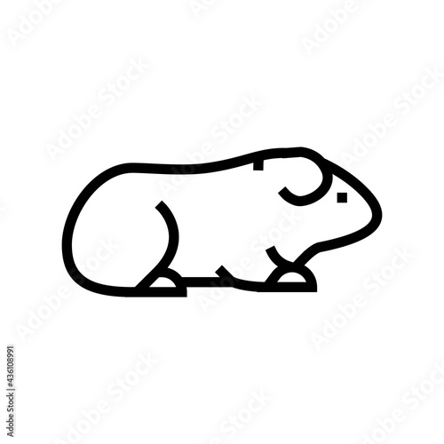 guinea pig pet line icon vector. guinea pig pet sign. isolated contour symbol black illustration