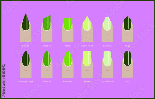 Collection of different nail shapes and shapes with trendy green manicure. Fashionable color.