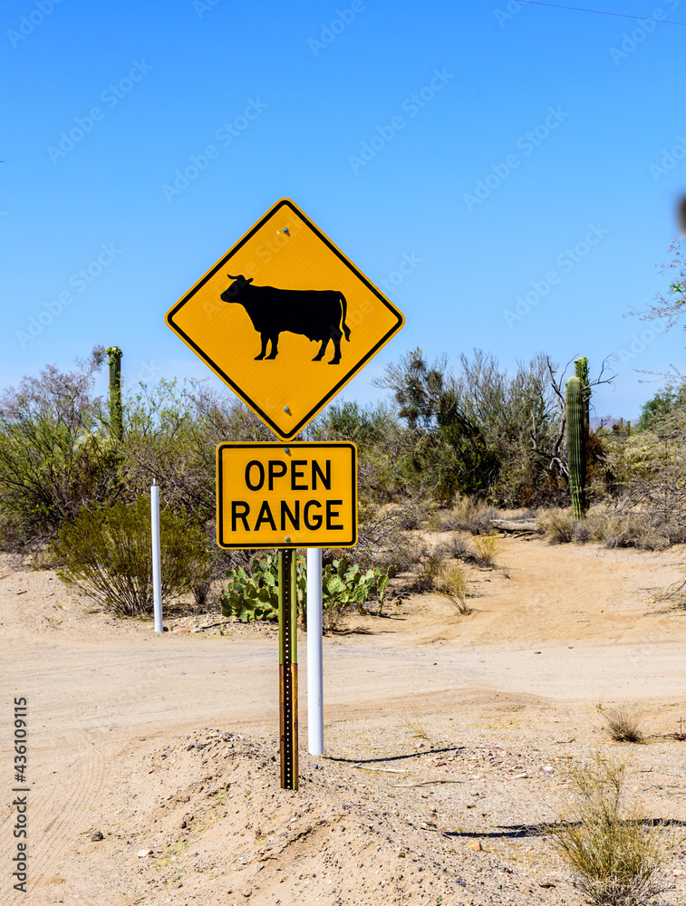 Cow Crossing and Open Range Street Sign in the Desert with Cactus in Background 