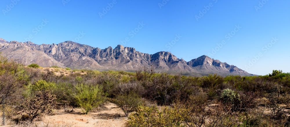 Panoramic View of a Mountain Range with the Desert in the Foreground