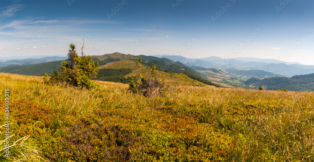 Panorama from the Rozsypaniec summit to the peaks of Tarnica, Halicz, Bukowe Berdko, Krzemien, Polonina Carynska, Kopa Bukowska, Bieszczady Mountains, Wołosate
