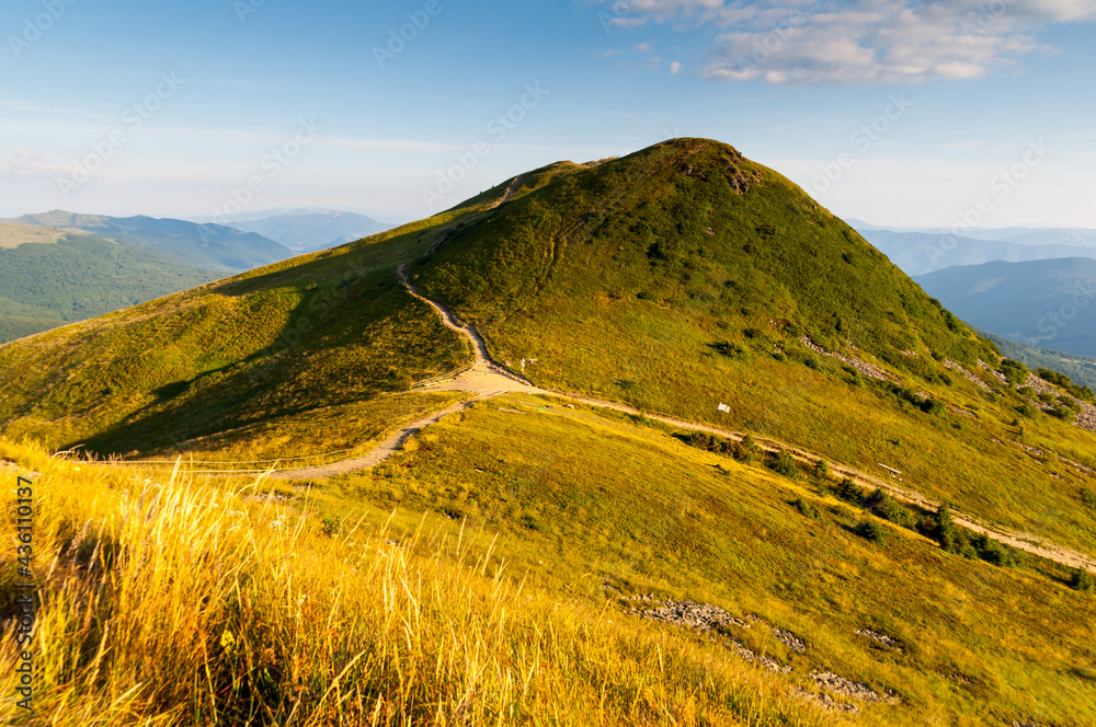 Fototapeta premium Panorama from the top of Tarniczki to the top of Tarnica, Bieszczady Mountains, Wołosate