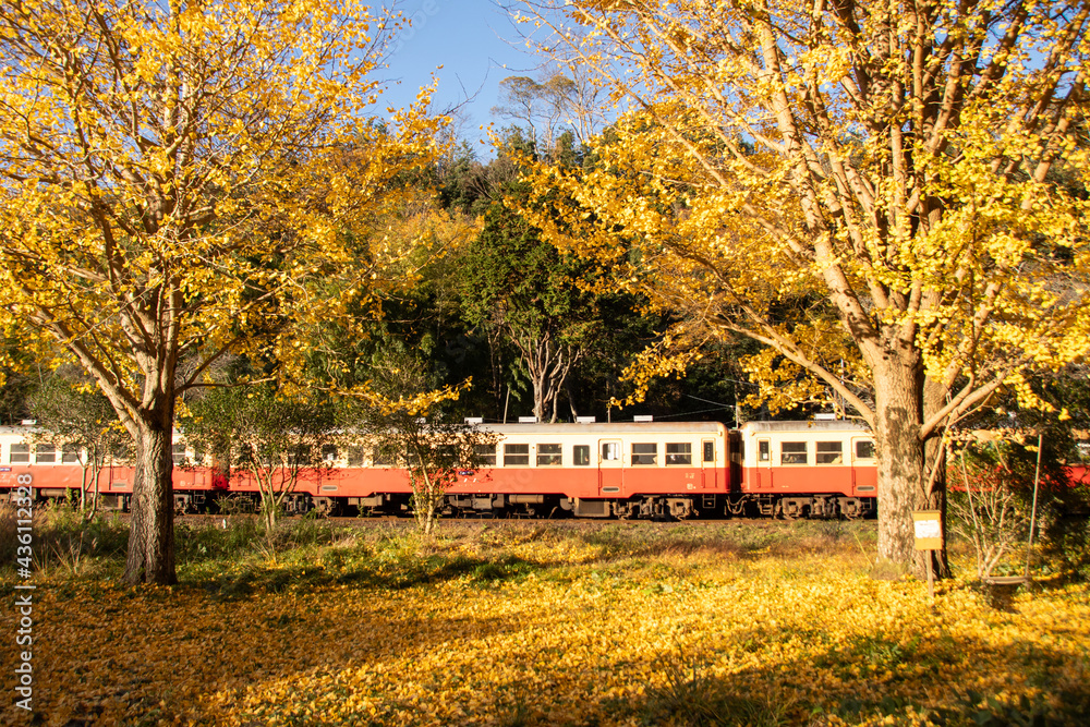 小湊鉄道
小湊鉄道