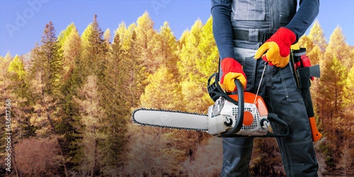 Lumberjack with chainsaw and axe in forest. Banner. photo
