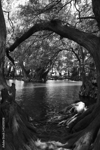 Lago de Camecuaro al blanco y negro photo