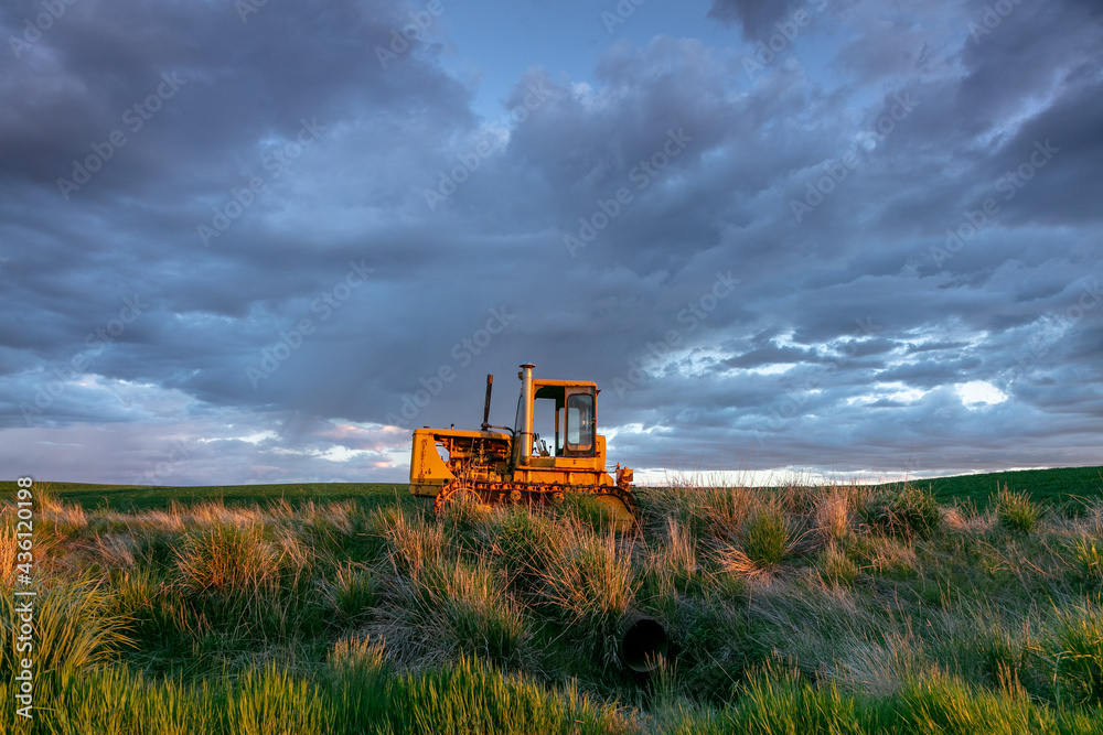Fototapeta premium tractor on the field