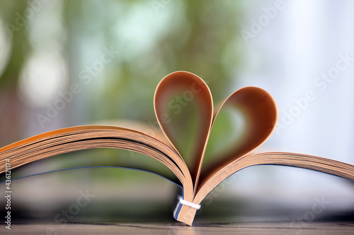 Cuadro en lienzo Turn out the books of love