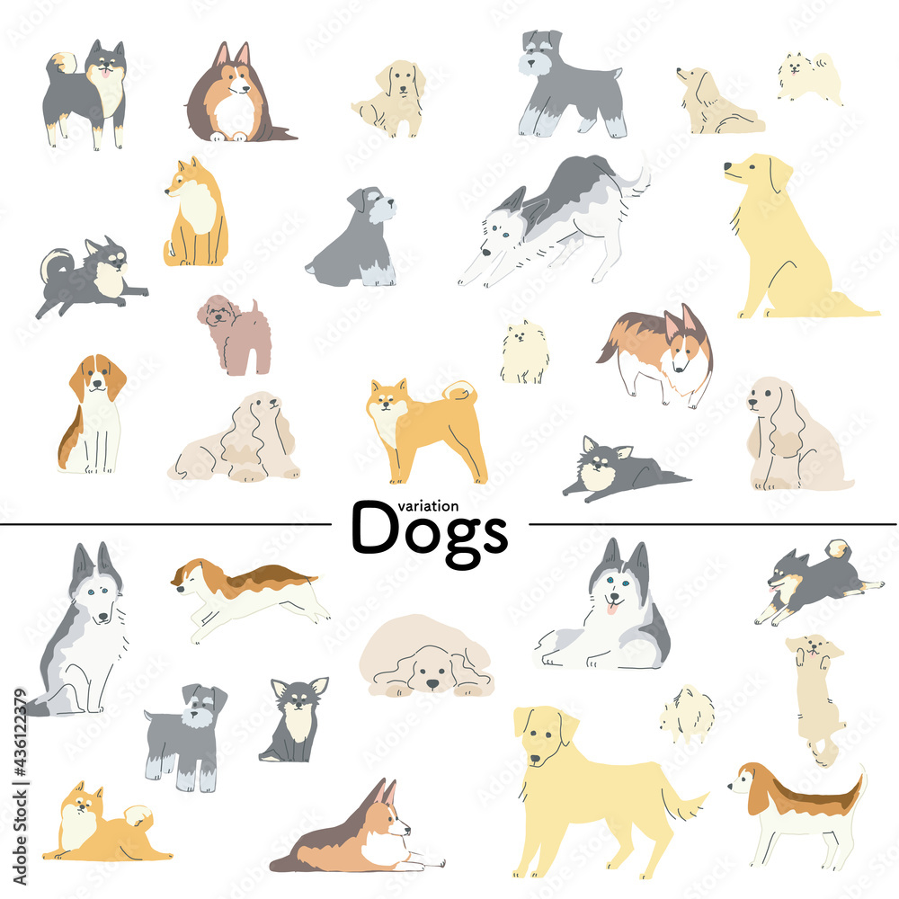 さまざまな表情とポーズの犬たちのイラスト Stock Vector Adobe Stock