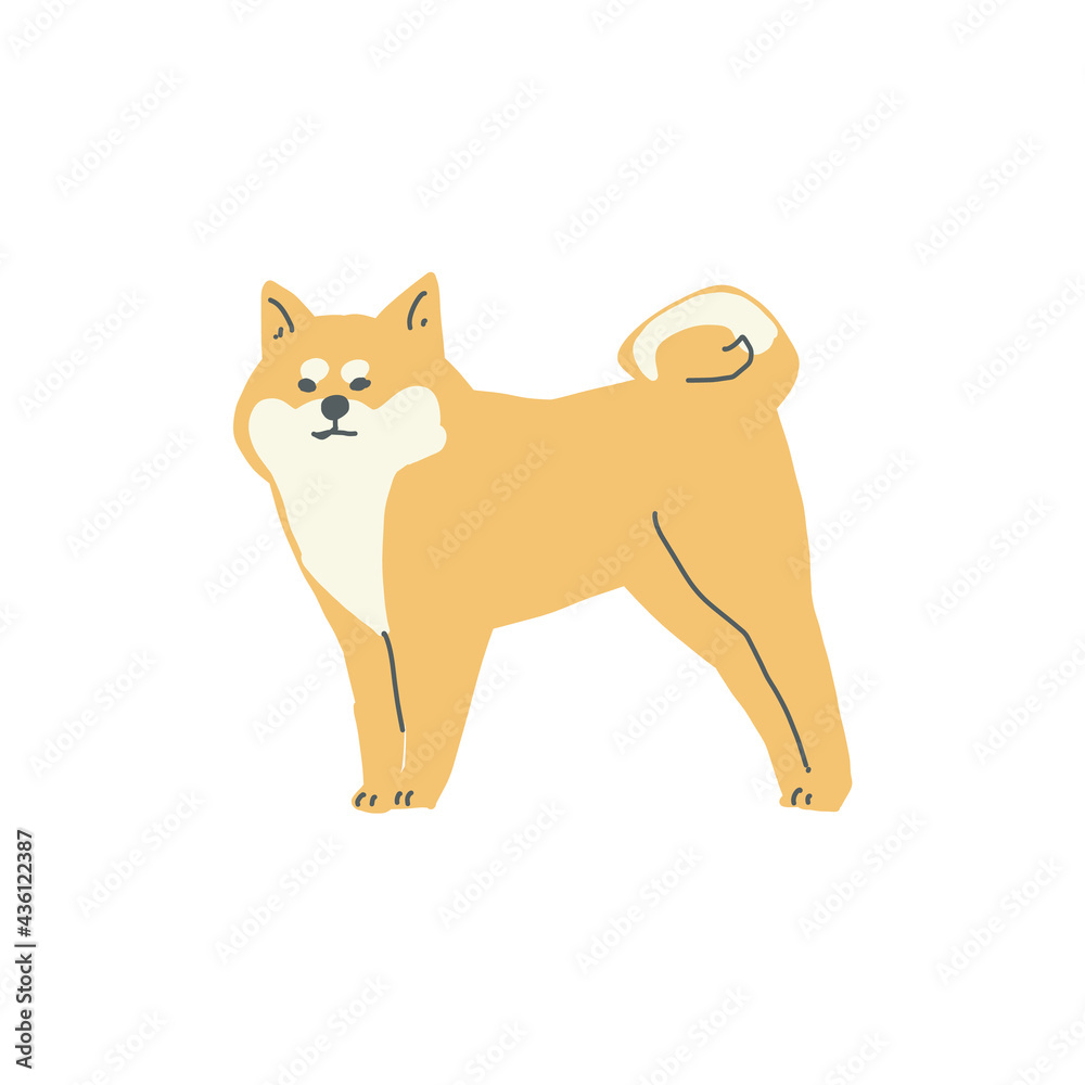 立って凛々しい顔をしている一匹の茶色い柴犬のイラスト Stock Vector Adobe Stock 立って凛々しい顔をしている一匹の茶色い柴犬のイラスト Stock Vector Adobe Stock