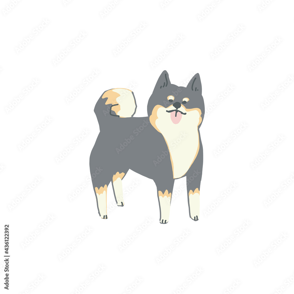 立って凛々しい顔をしている一匹の黒い柴犬のイラスト Stock ベクター Adobe Stock 立って凛々しい顔をしている一匹の黒い柴犬のイラスト Stock ベクター Adobe Stock