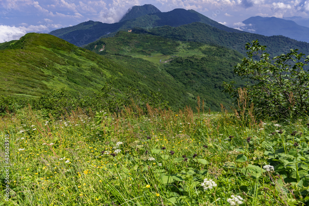 火打山から見た妙高山 火打山から見た妙高山