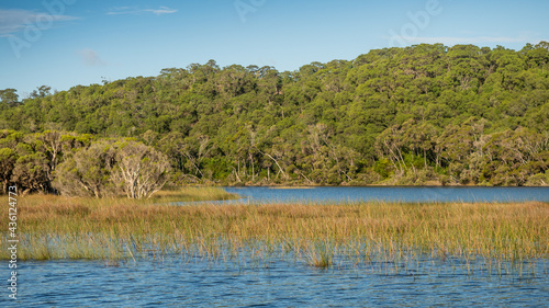 The Donnelly River