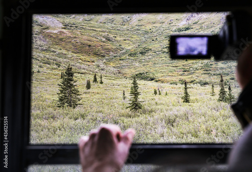 A traveller taking video of landscape and animals in Denali National Park from a tour bus. photo