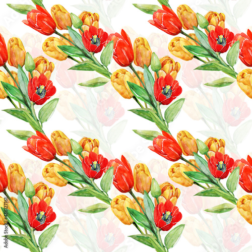 Red and yelollow tulips se.Image on white and colored background.Watercolor pattern.