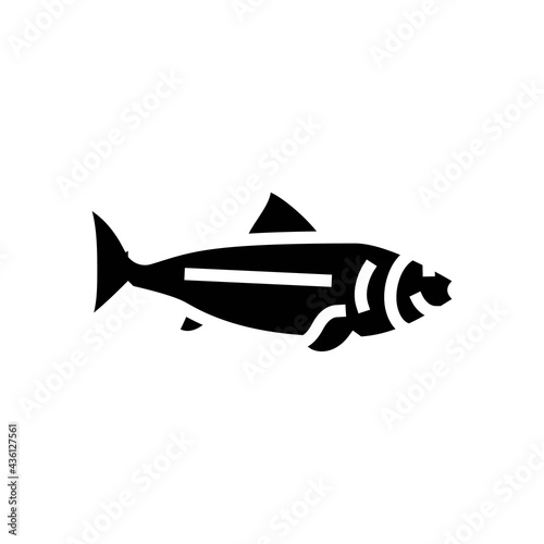 fish ocean glyph icon vector. fish ocean sign. isolated contour symbol black illustration