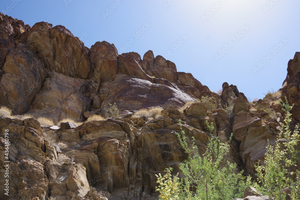 Scenic view of rock formations and tree tips in the sunlight in a California desert mountain range