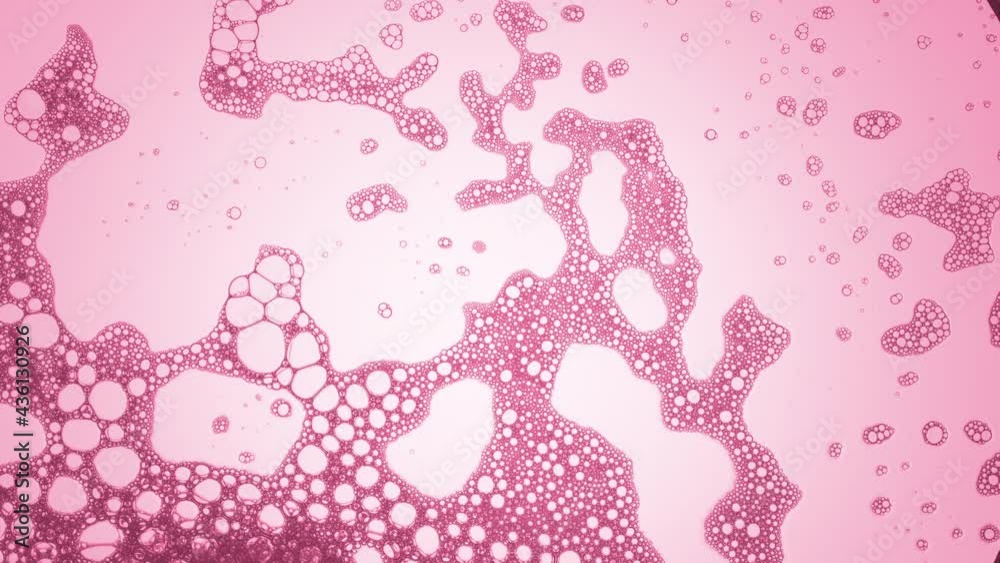 A lot of transparent different sized bubbles move spontaneously in pink liquid against pale pink background | Macro shot of skincare cream with hyaluronic acid for its commercial A lot of transparent different sized bubbles move spontaneously in pink liquid against pale pink background | Macro shot of skincare cream with hyaluronic acid for its commercial