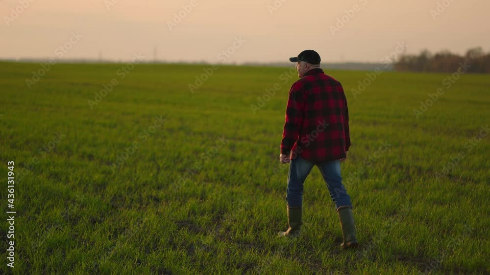 A working tractor driver walks on a field of saplings after a day's work in slow motion. Go sunrise to work A working tractor driver walks on a field of saplings after a day's work in slow motion. Go sunrise to work