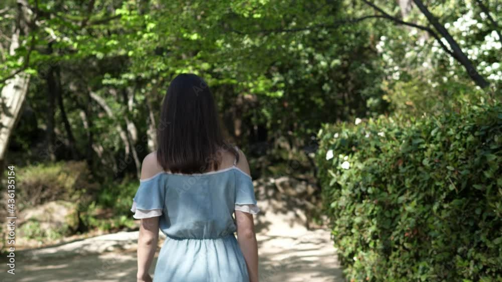 Free happy woman runs along the rainforest. Back view of a girl in a beautiful dress on a sunny summer day. Free happy woman runs along the rainforest. Back view of a girl in a beautiful dress on a sunny summer day.