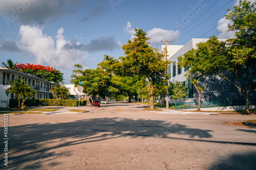 street in the city Wynwood Miami Florida tree sky blue clouds nature forest 
