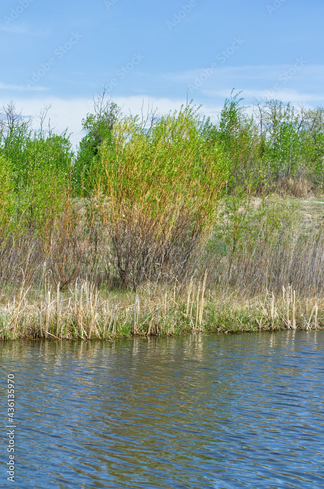 Pylypow during the Late Spring