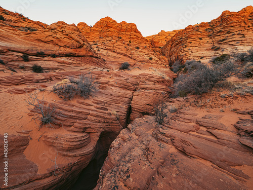 Golden Wave at sunset - The Wave at the border of Arizona and Nevada
