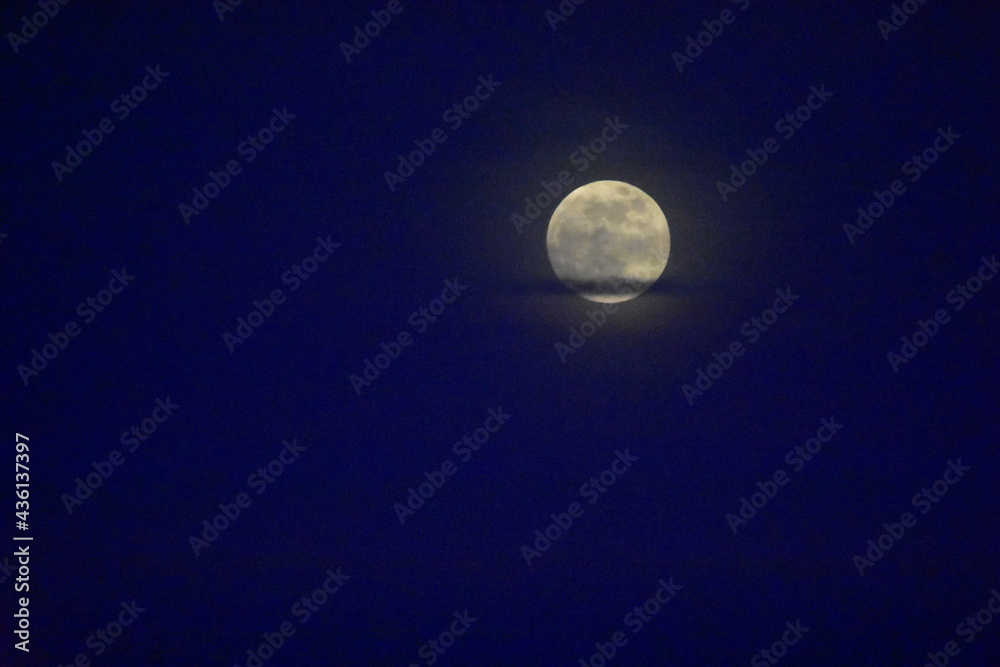 moon moon