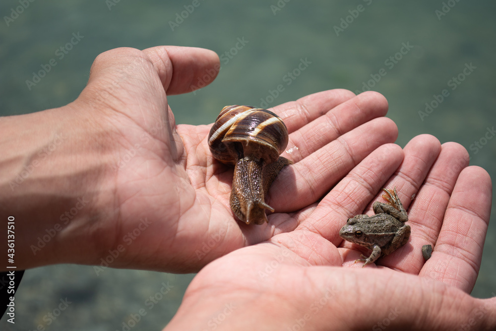Cute animals on the palm. Cute animals on the palm.