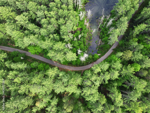  aerial view of the trail in green woods © nd700