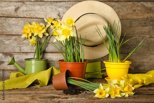 Gardening tools with narcis...
