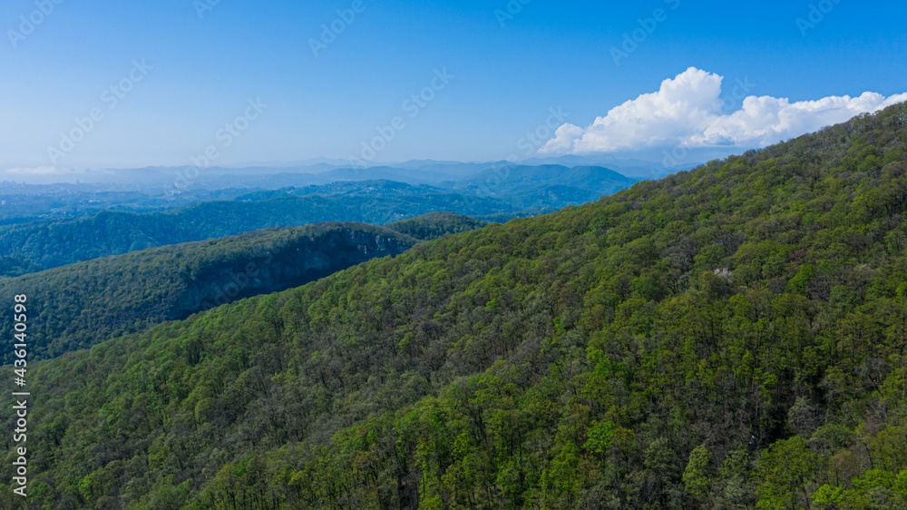 the peaks of the mountains are dotted with green trees against the blue sky