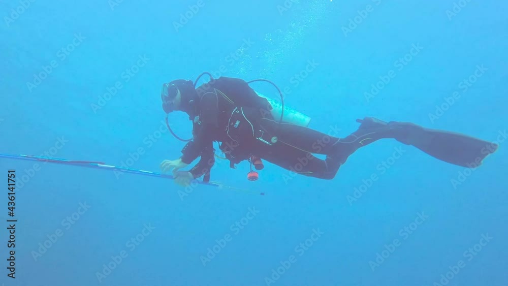 UNDERWATER - Scuba diver with a spear in Gates Bay, Bermuda, wide shot UNDERWATER - Scuba diver with a spear in Gates Bay, Bermuda, wide shot