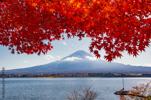 Fuji Mountain Red Maple Leaves in Autumn, Kawaguchiko Lake, Japan © iamdoctoregg