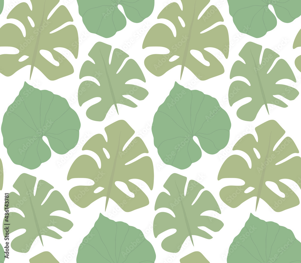 Simple pattern with green silhouettes of monstera and liana leaves on white background. Tropical texture. Wallpaper with jungle foliage. Vector texture of rainforest