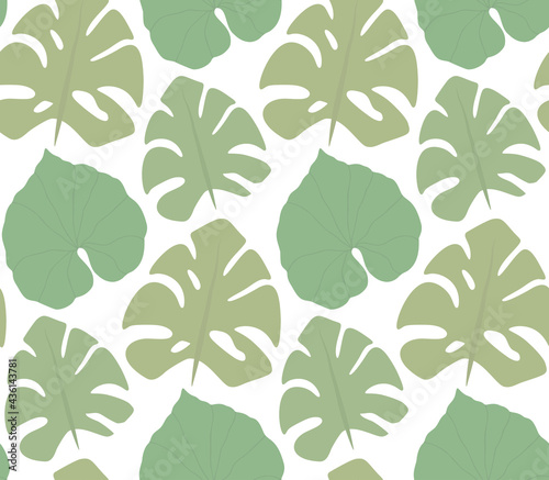 Simple pattern with green silhouettes of monstera and liana leaves on white background. Tropical texture. Wallpaper with jungle foliage. Vector texture of rainforest © veleri_kz