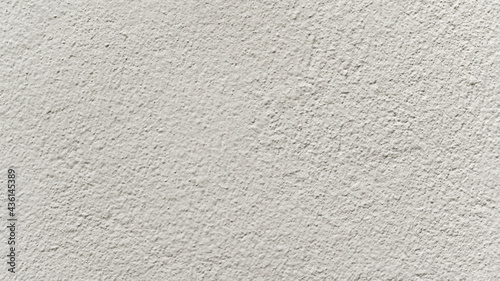 Details of the cream-colored cement wall for the background.