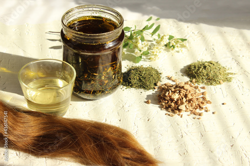 Tincture of herbs for hair. On a white table, a jar with olive oil and herbs calamus, sprinkles and horsetail. A lock of brown straight hair lies next to the hair mask