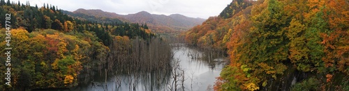 Misty autumn view of Tsugaru Dam and Shirakami Sanchi nature reserve in Aomori, Japan. Panoramic view - 津軽白神湖 白神山地 紅葉 青森県 中津軽郡 パノラマ 