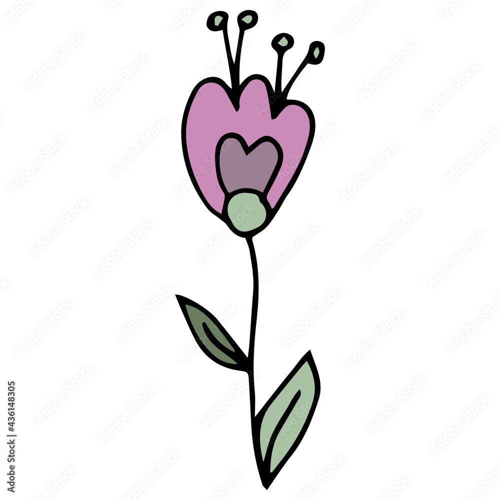 Obraz premium Doodle pink flower and green leaves. Black outline. White background. Vector image hand-drawn. Floral design for greeting cards, accessories. Baby style, cartoon style elements. Stamens and pistils.