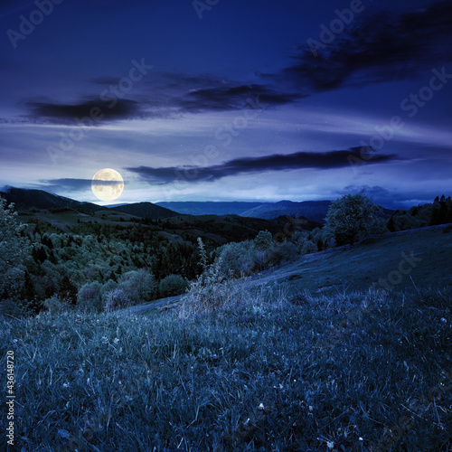 rural mountain landscape in spring at night. grass and trees on hills rolling through the green valley in to the distant ridge beneath a cloudy sky in full moon light © Pellinni