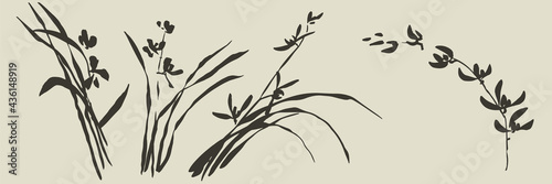 Shabby hand drawn wild orchid flowers set