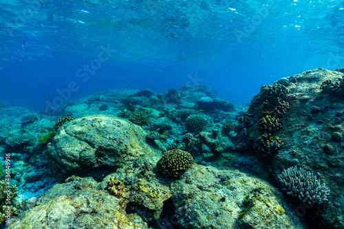 underwater scene with coral reef and fish  Surin Islands  Thailand.